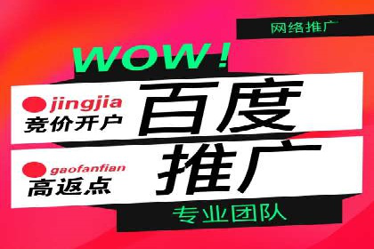 百度推广平台助力企业品牌建设案例分析